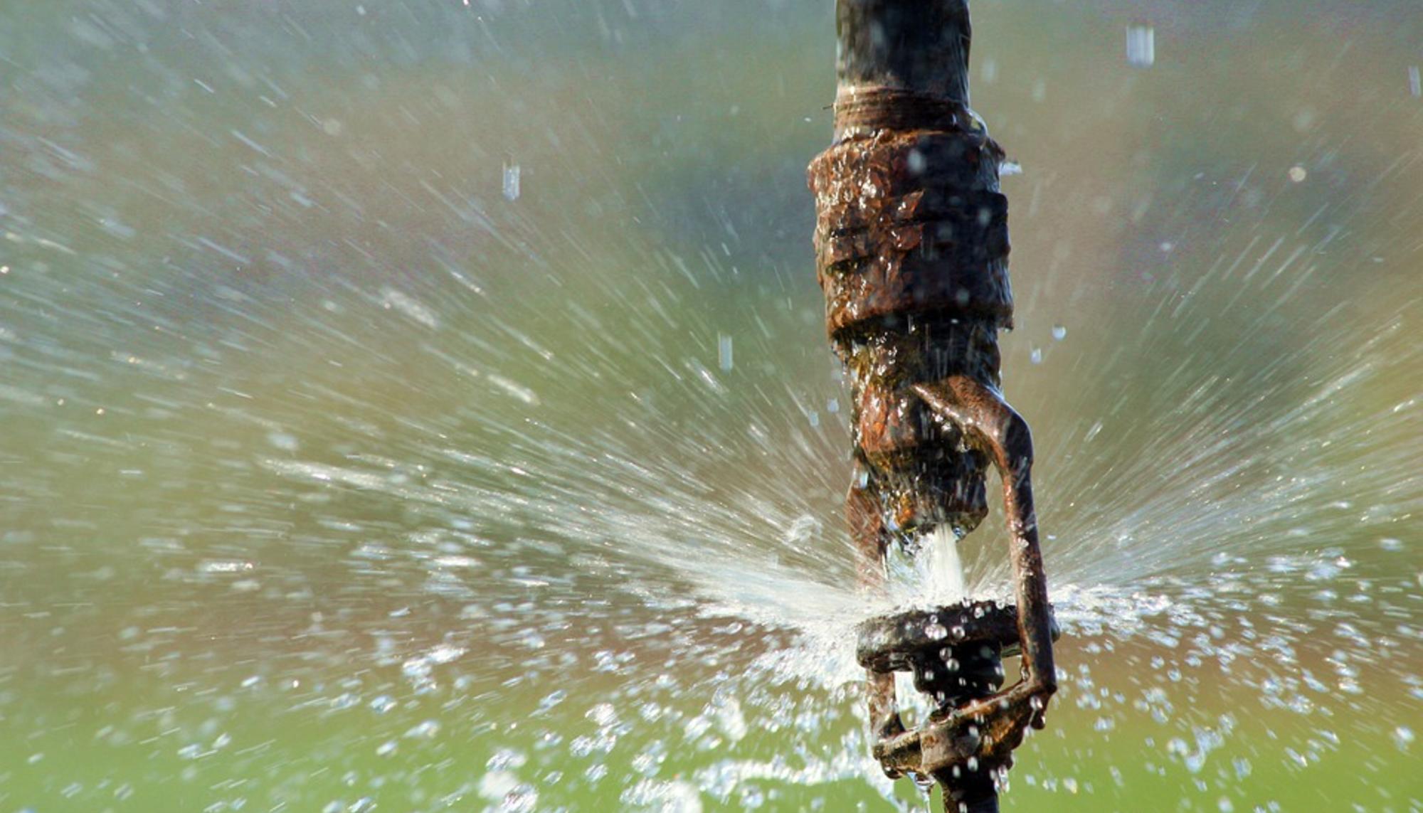 Regadío Ismael Cárdenas